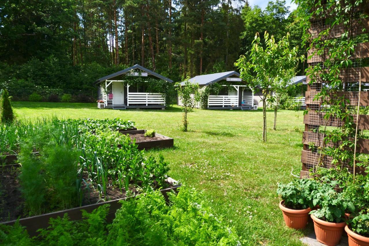 Przylesie21 Villa Ustka Eksteriør billede